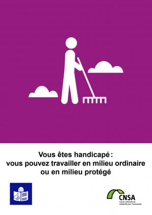 Vous tes handicap: vous pouvez travailler en milieu ordinaire ou en milieu protg