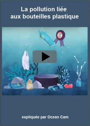 lien youtube la pollution par les bouteilles plastique